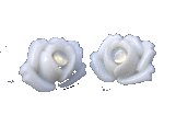 tites roses blanches