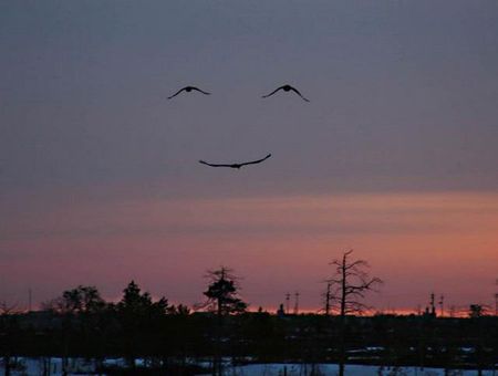 sourire_du_ciel