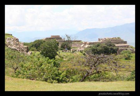 oaxaca9__1024x768_