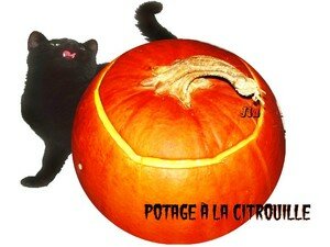 Potage à la citrouille recettes entrees Potage à la citrouille