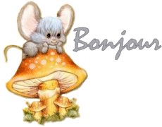 les crèpes turc , un règal.... recettes plats les crèpes turc , un règal....