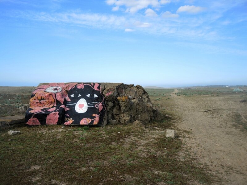 Tarnos, champ des blockhaus, p'tite mimine (40)