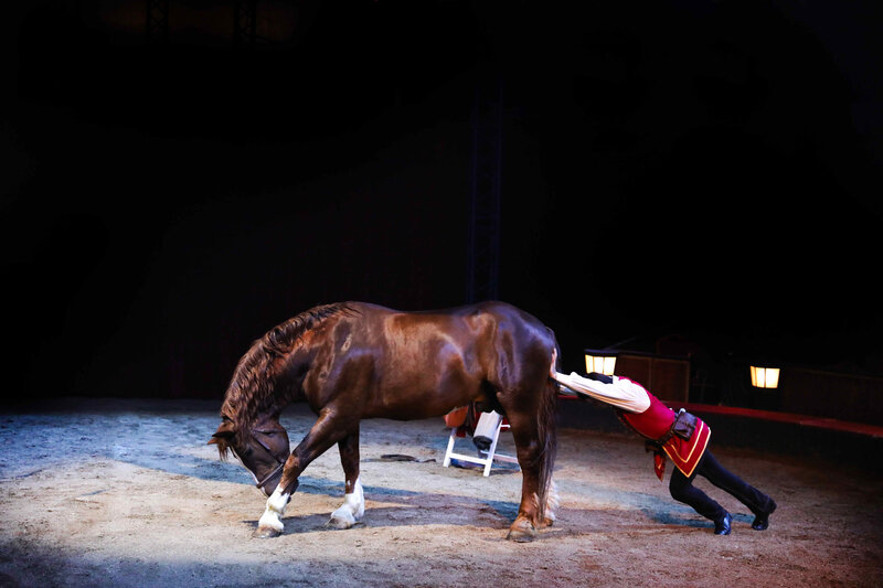Cheval-Comique3