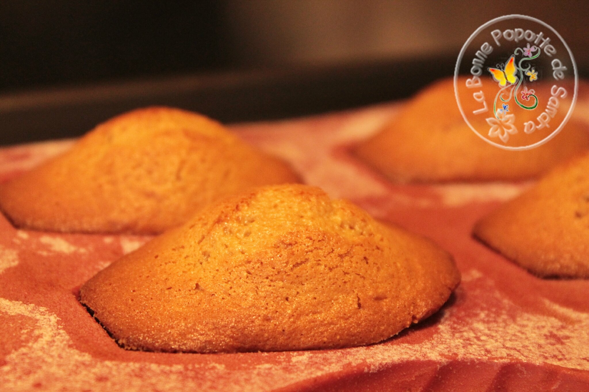 Madeleines à IG bas - La bonne popotte de Sandra!