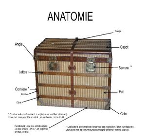 anatomie_dune_malle_basse_def_