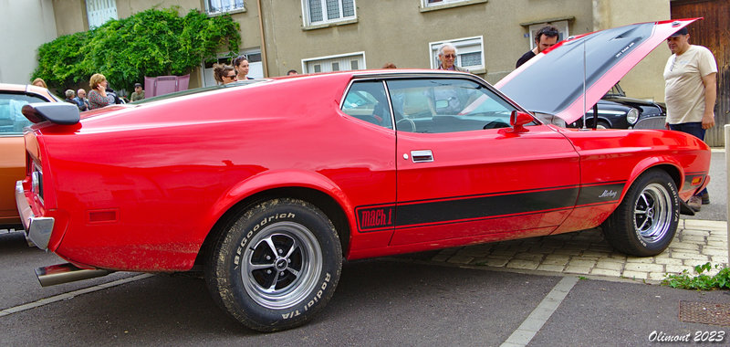 Ford Mustang Mach 1 1973
