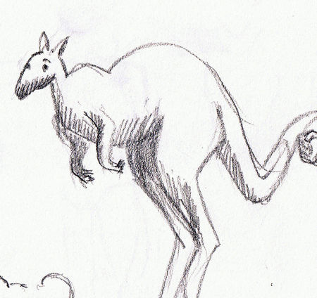 kangoroos_210110_1