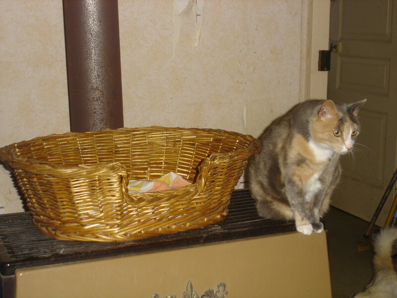 DSC05661