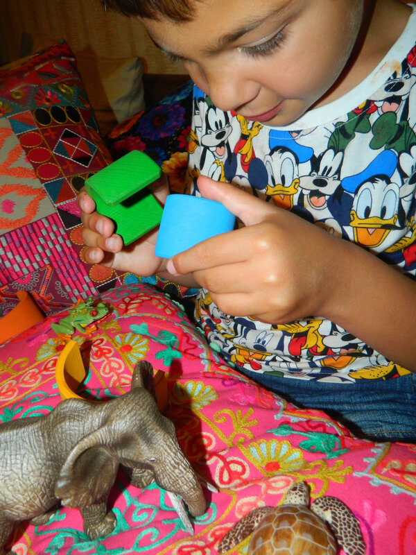 DSCN0739 (2)