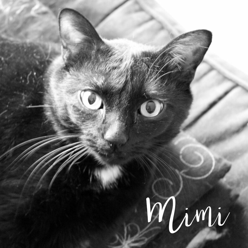 Mimi