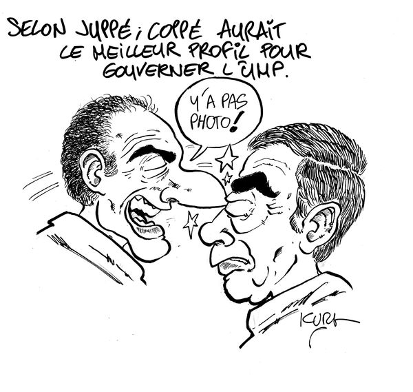 profil coppé ump