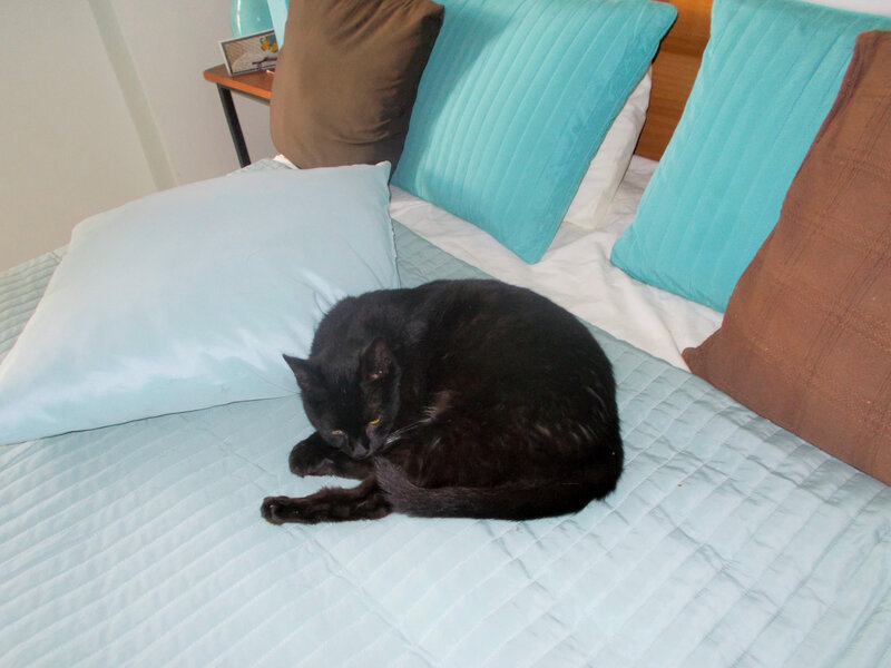 mikroula sur le lit