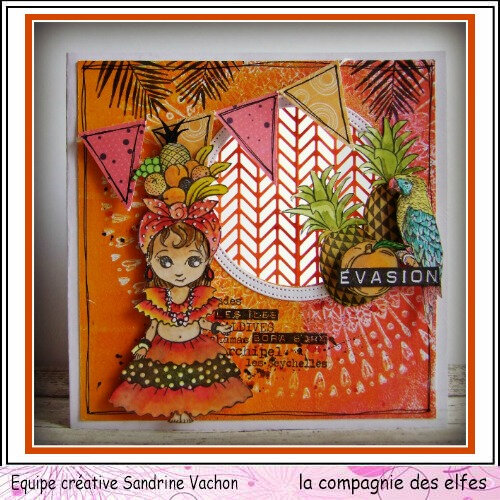 Sandrine VACHON juillet DT LCDE (1)