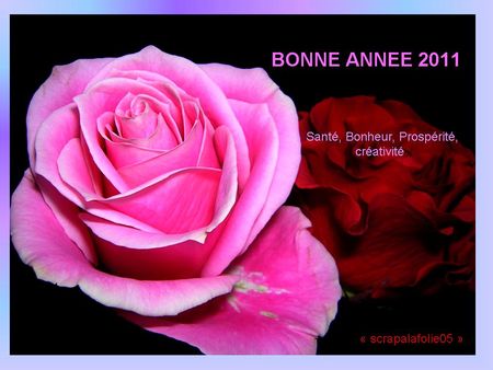 rose_bonne_ann_e