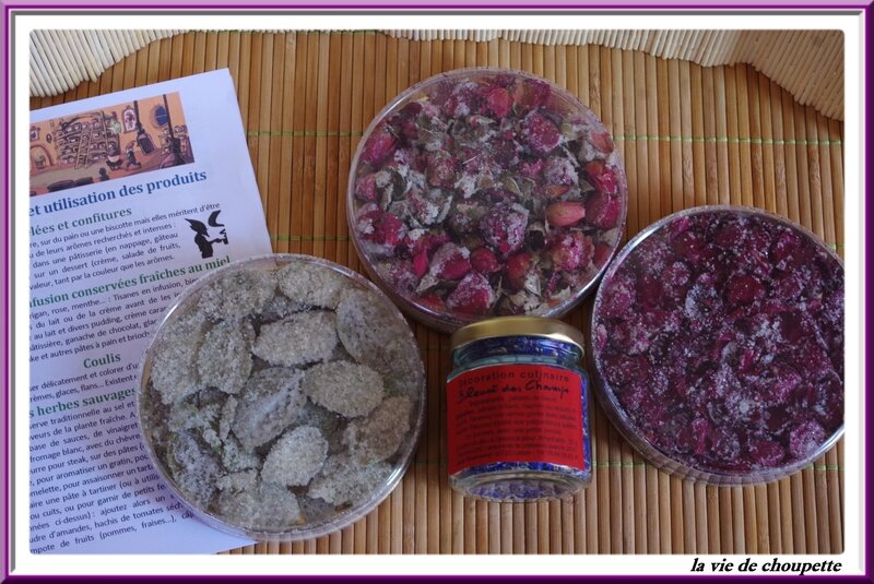 jardins gourmands-20
