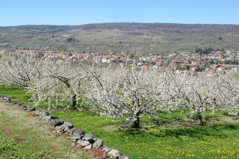 st amant-chemin