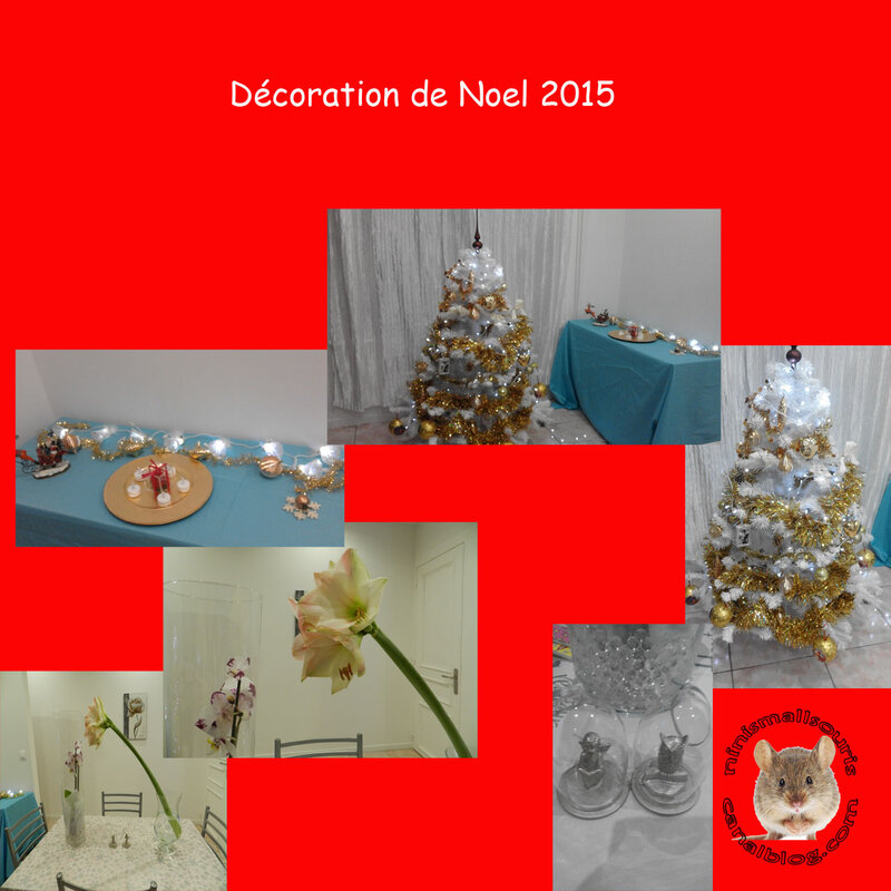 deco_e_noel__2015