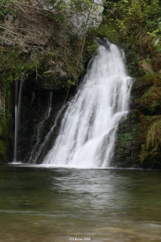 Fraîcheur d'automne 1