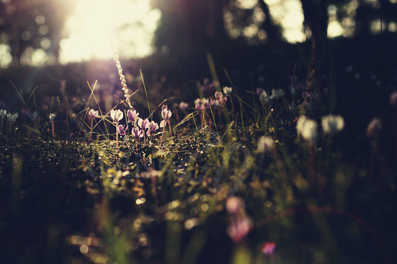 Mix189_small
