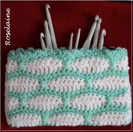 Roselaine233 Trousse crochet
