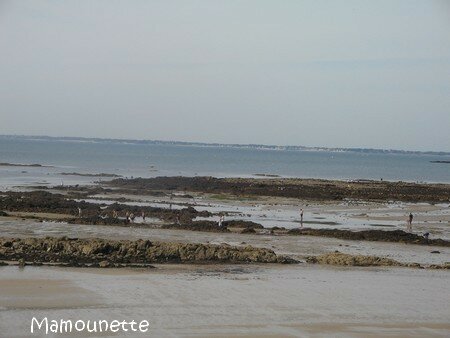 S_jour_Morbihan_septembre_2006_137