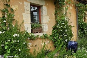Jardin-François-0063