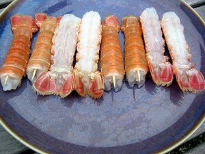 langoustinesatay2