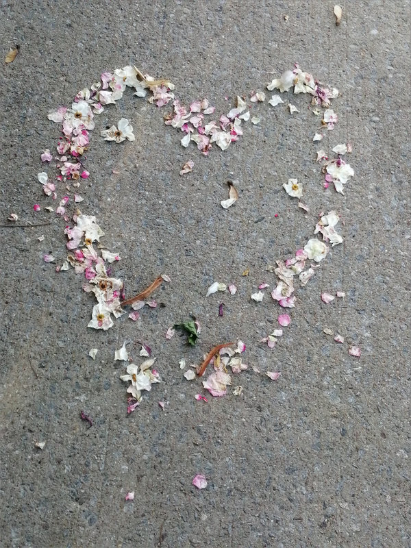 Coeur fleurs rue 040923