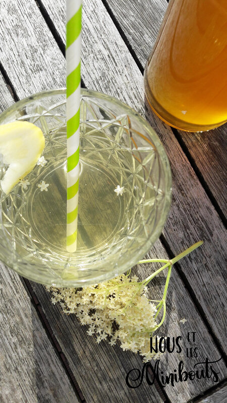sirop sureau2