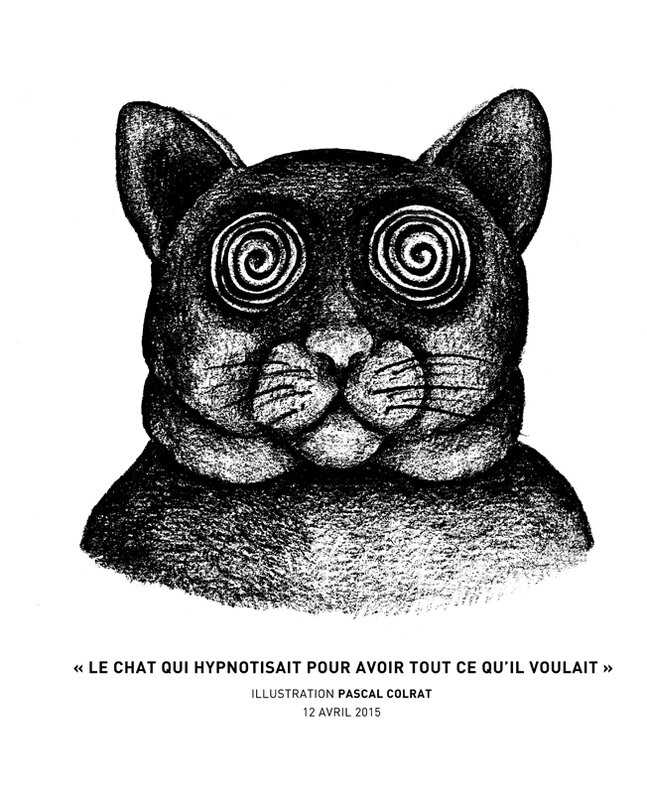 le chat hypnotique