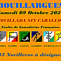 Novillada Sin Caballos <b>Bouillargues</b> 2021