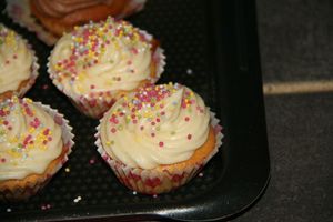 cupcakes (3)