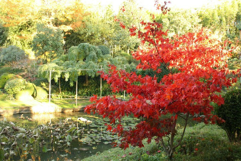 jardin zen Beaumont Monteux 111-001