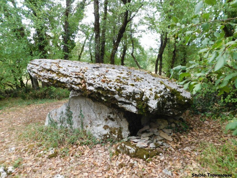 dolmen 1c [800x600]