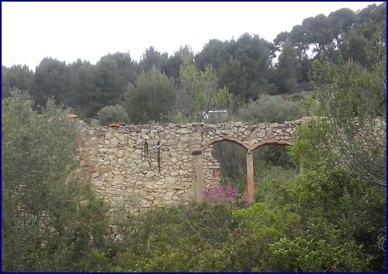 Bandol_Mai15 (2)