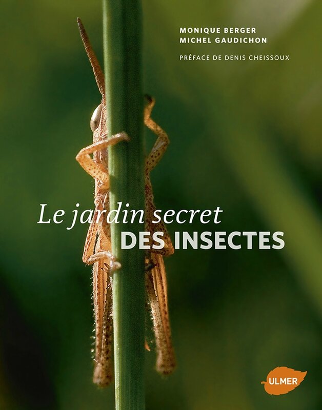 couverture_Le jardin secret des insectes