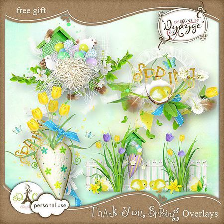 preview_overlays_thankyouspring_dydyge