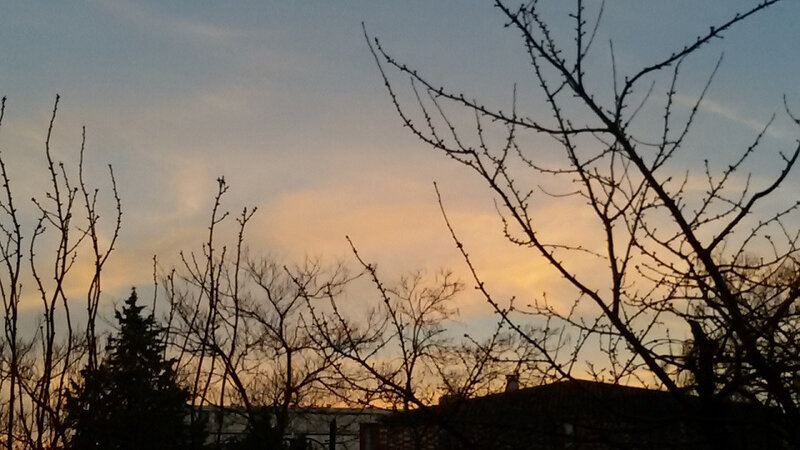20190208_181519