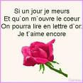amour_8