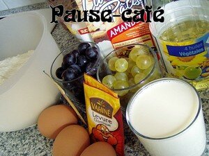 muffins_aux_raisins_noirs_et_blancs