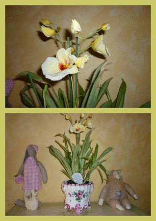 orchid_e_2