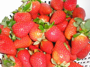 Confiture_de_fraises__2_