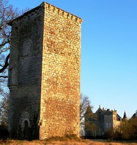 vouthon_chateau_de_La_Chaise_fev_08__25_