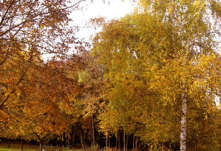 automne2