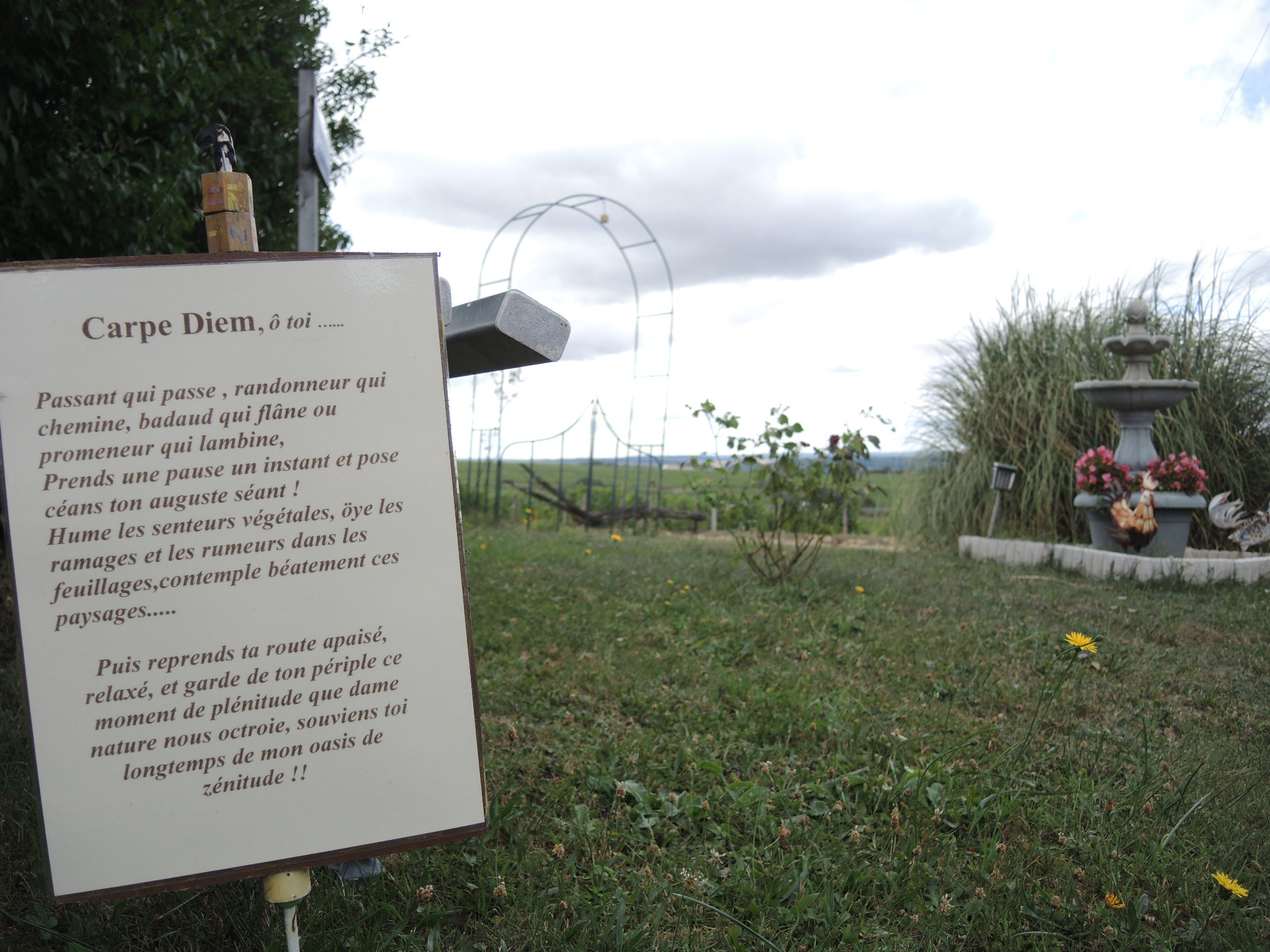 Saint-Andelain, les Berthiers, espace André Rapeau, carpe diem (58)