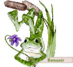 bonsoir_grenouille