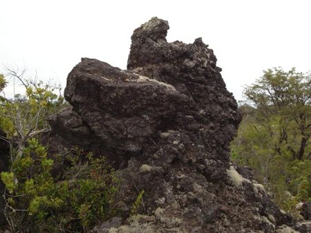 11_22_002_tour_lac_Llanquihue__11___Medium_