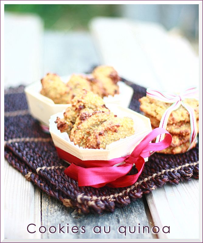 Cookies au quinoa, cranberries et baies de Goji sans gluten recettes Poulet aux baies de goji – de JuJuBe