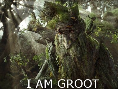 Lord-of-The-Rings-Tree_l