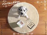 Nintendogs_wallpaper1_1024x768